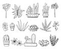 Houseplants, cactuses and succulents in flowerpots. Vector hand drawn outline black and white sketch illustration